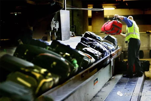 大興機(jī)場(chǎng)380個(gè)崗位開(kāi)放，勞務(wù)服務(wù)助你找到適合的工作機(jī)會(huì)