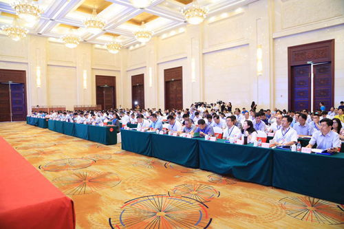 勞務對接架起致富橋 佛山攜手涼山昭覺，全面啟動家政扶貧新篇章